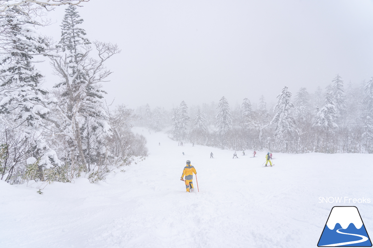 札幌国際スキー場｜只今『積雪』＆『滑走可能エリア』全国No.1！積雪 100cm、ほぼ全コース滑走可能。一気に厳冬期到来のKOKUSAI(^^)/